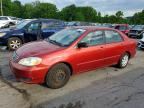 2003 TOYOTA COROLLA