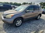 2010 HONDA CR-V