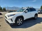 2021 TOYOTA RAV4 PRIME
