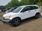 2010 HONDA CR-V