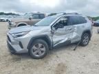 2024 TOYOTA RAV4 HYBRID