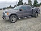 2013 FORD F150