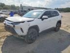 2024 TOYOTA RAV4 HYBRID