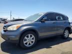 2011 HOND CR-V