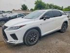 2020 LEXUS RX