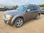 2009 FORD ESCAPE