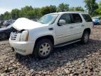 2007 CADILLAC ESCALADE
