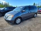 2010 HONDA ODYSSEY