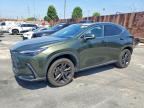 2024 LEXUS NX 450H+