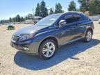 2011 LEXUS RX