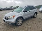 2010 HONDA CR-V