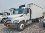 2016 HINO 258/268