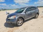 2010 HONDA CR-V