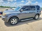 2011 HONDA PILOT