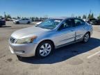 2010 HONDA ACCORD