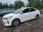 2020 KIA RIO
