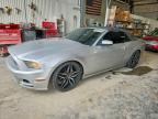 2013 FORD MUSTANG