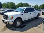 2014 FORD F150