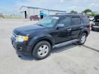 2010 FORD ESCAPE