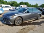 2023 LEXUS ES 350