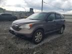 2009 HONDA CR-V