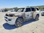 2023 TOYOTA 4RUNNER