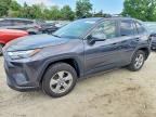2023 TOYOTA RAV4 HYBRID