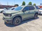 2026 HONDA PASSPORT