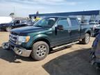 2013 FORD F150