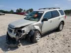 2009 MAZDA TRIBUTE I