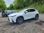 2024 LEXUS NX 350