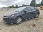 2024 TOYOTA COROLLA HYBRID