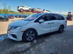 2020 HONDA ODYSSEY