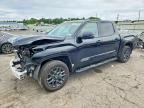 2025 TOYOTA TUNDRA