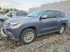 2016 LEXUS GX
