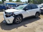 2021 TOYOTA RAV4 PRIME