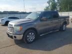 2013 FORD F150