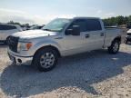 2013 FORD F150