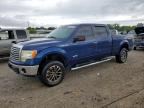 2011 FORD F150