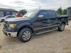 2010 FORD F150