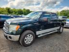 2013 FORD F150