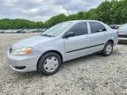 2006 TOYOTA COROLLA