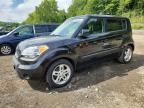 2011 KIA SOUL