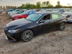 2024 LEXUS ES 250