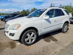 2010 MERCEDES-BENZ ML