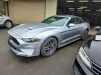 2023 FORD MUSTANG