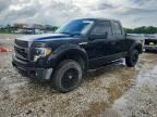 2009 FORD F150