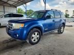 2008 FORD ESCAPE
