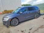 2025 HONDA ODYSSEY