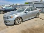 2017 KIA OPTIMA